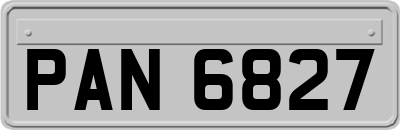 PAN6827