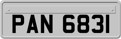 PAN6831