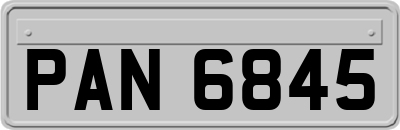 PAN6845
