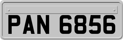PAN6856