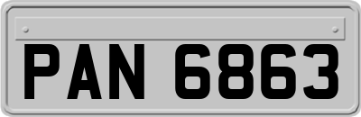 PAN6863