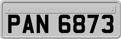 PAN6873