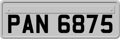 PAN6875