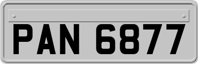 PAN6877