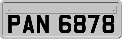PAN6878