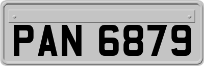 PAN6879