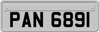 PAN6891