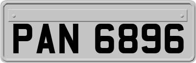 PAN6896