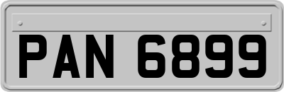 PAN6899