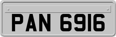 PAN6916