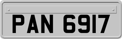 PAN6917