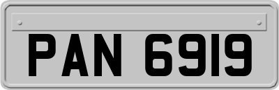 PAN6919