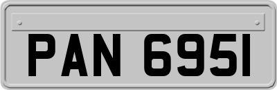 PAN6951