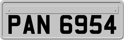 PAN6954