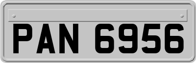 PAN6956