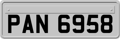 PAN6958
