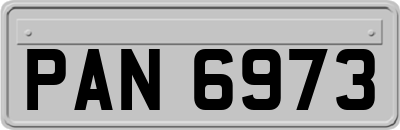 PAN6973