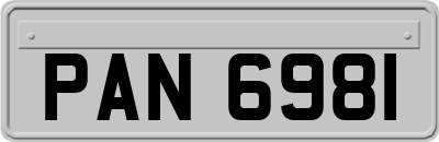 PAN6981