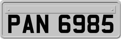 PAN6985