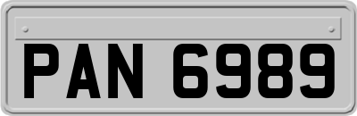 PAN6989
