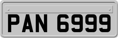 PAN6999