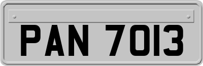 PAN7013