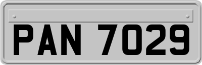 PAN7029