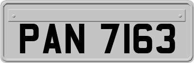 PAN7163