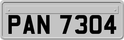PAN7304