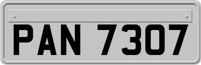 PAN7307