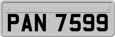 PAN7599