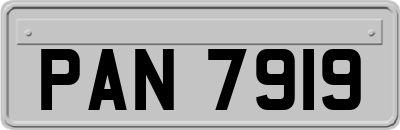 PAN7919
