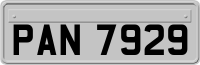 PAN7929