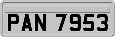 PAN7953
