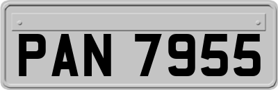 PAN7955