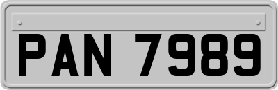 PAN7989