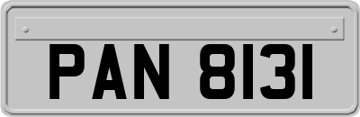 PAN8131