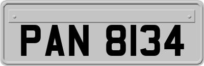 PAN8134