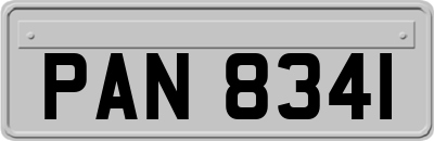 PAN8341