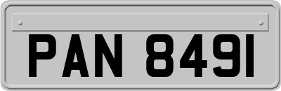 PAN8491