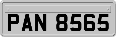 PAN8565