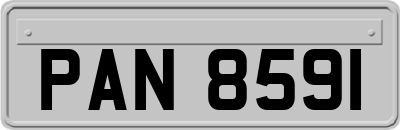 PAN8591