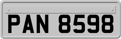 PAN8598