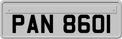 PAN8601