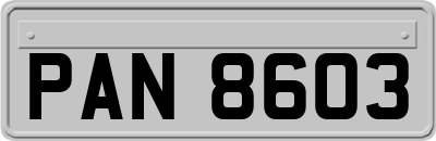PAN8603