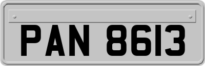 PAN8613