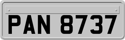 PAN8737