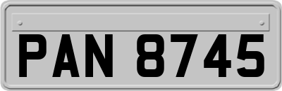 PAN8745