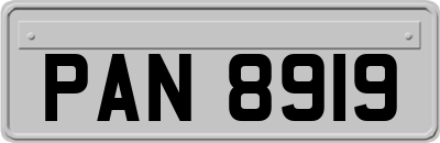 PAN8919