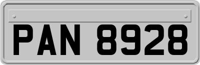 PAN8928